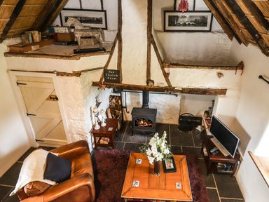 A room with a fireplace armchair coffee table flowers and a television at New Thatch Farm Scarteen near Knocklong County Limerick