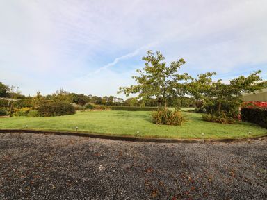 A gravel driveway leading to a grassy yard with two trees and surrounding shrubbery at New Thatch Farm Scarteen near Knocklong County Limerick