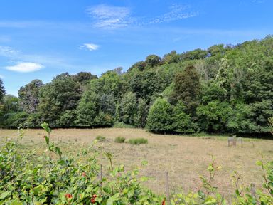 A field with trees and a clear sky at The Lambing Shed in Dyserth near Prestatyn
