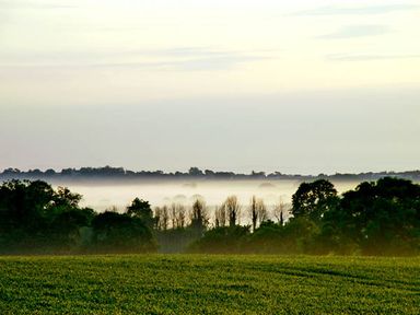 A field with trees and fog in the distance at The Springs in Ashey near Brading and Ryde