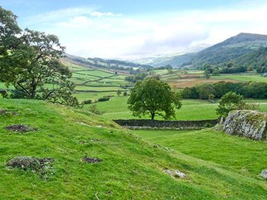 A green hillside with trees rocks and stone walls overlooking a valley with fields and hills at High Kiln Bank Cottage in Seathwaite Duddon Valley