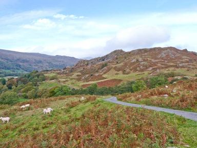 A rural landscape with a winding road sheep grazing and hills in the background at High Kiln Bank Cottage Seathwaite Duddon Valley