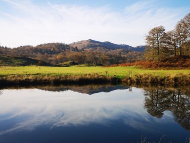 A grassy field with trees and hills reflected in a pond at High Kiln Bank Cottage in Seathwaite Duddon Valley