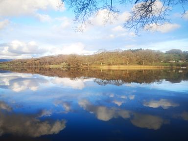 A lake reflecting clouds and a tree-covered hill with branches overhead at High Kiln Bank Cottage in Seathwaite Duddon Valley