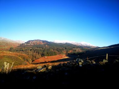 A landscape with hills trees and a stone wall under a clear blue sky at High Kiln Bank Cottage in Seathwaite Duddon Valley