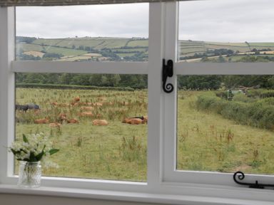 A window view showing cows resting in a grassy field with hills and trees in the background at Bicton Lodge in Clun