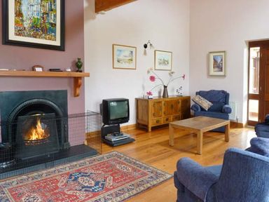 A living room with a fireplace, rug, vintage television, wooden furniture, armchairs, and paintings on walls at The Range in Enniscorthy County Wexford
