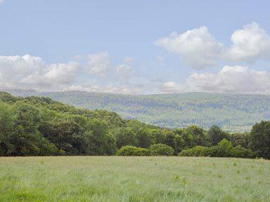 A grassy field with trees and hills in the background under a cloudy sky at Ty Nant in Betws-y-Coed