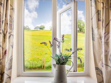 A window with floral curtains and a vase with purple flowers on the windowsill overlooking a green field at Ty Nant in Betws-y-Coed