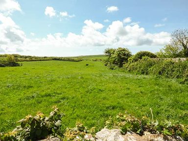 A grassy field with trees and bushes under a cloudy sky at Foxglove Cottage in Little Haven near Haverfordwest