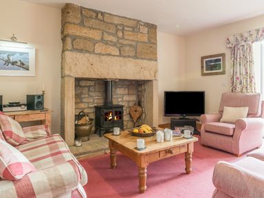 A living room with a stone fireplace a wood stove a coffee table with mugs and fruit a television and pink checked sofas at Dorothys Cottage in Alnmouth