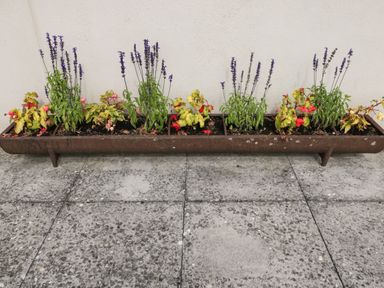 A metal planter with plants and flowers against a white wall on a stone floor at Brindle Cottage in Royal Wootton Bassett