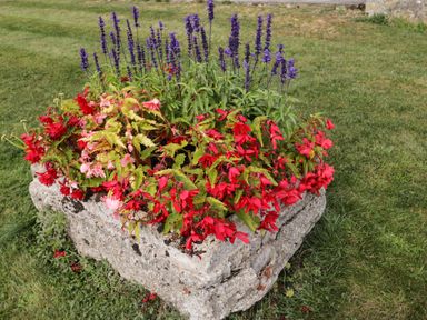 A stone flower planter with red and pink flowers and purple flowers on grass at Brindle Cottage in Royal Wootton Bassett