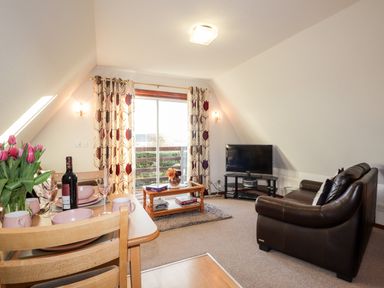 A living room with a brown leather sofa a TV on a stand a coffee table and a dining table set with dishes and a bottle of wine at Larchfield Chalet 2 Heights of Achterneed near Strathpeffer