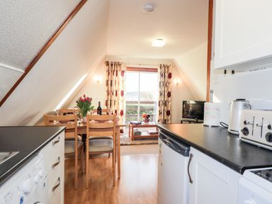 A kitchen and dining area with a wooden table and chairs a television and sliding glass doors at Larchfield Chalet 2 Heights of Achterneed near Strathpeffer
