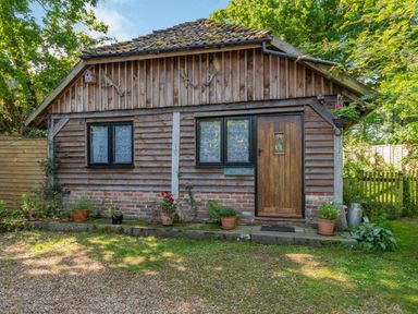 A wooden cabin with a brown door and two windows surrounded by potted plants at Endymion Linwood near Ringwood New Forest