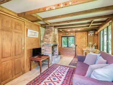 A living room with a brick fireplace wooden door a table with a television and a sofa with cushions at Endymion Linwood near Ringwood New Forest