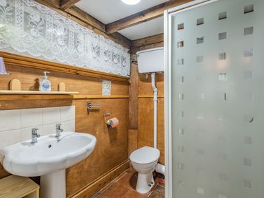 A bathroom with a white sink and toilet beside a frosted glass shower at Endymion in Linwood near Ringwood New Forest