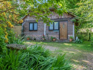 A wooden cabin with a wooden door and two windows surrounded by greenery and potted plants at Endymion in Linwood near Ringwood New Forest