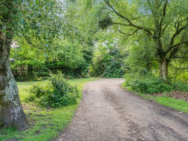 A curved dirt road surrounded by trees and bushes at Endymion in Linwood near Ringwood New Forest
