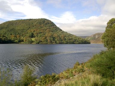 A lake with a tree-covered hill in the background and grassy vegetation along the shore at Happy Union Stables in Abbeycwmhir near Rhayader