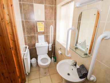 A bathroom with a toilet a sink a mirror grab bars and bathroom accessories at Prague House in Lettermore County Galway