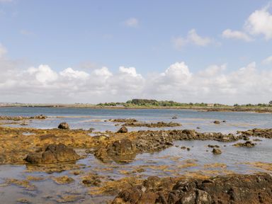 A coastal landscape with rocky shore and seaweed with a body of water and land with trees in the background at Prague House in Lettermore County Galway