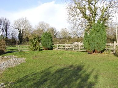 A grassy garden area with small evergreen trees and a wooden fence at Delia's Cottage in Ballinrobe County Mayo