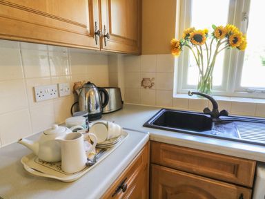 A kitchen corner with a sink and faucet sunflowers in a vase on the windowsill kettle toaster and a tray with teapot cups and a jug at Bramble Cottage in Sedbergh
