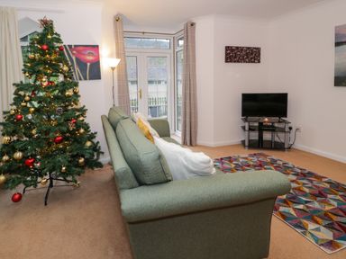 A living room with a decorated Christmas tree a green sofa a floor lamp a flat screen TV on a stand and a patterned rug at No 1 Railway Cottages Betws-y-Coed