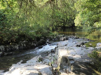 A river flowing over rocks surrounded by trees and vegetation at No 1 Railway Cottages in Betws-y-Coed