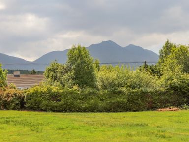 Green grass field with tall trees and bushes in front of mountains under a cloudy sky at Fern View House in Beaufort near Killorglin County Kerry