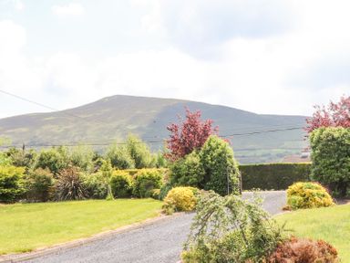 A gravel driveway surrounded by bushes and trees with a mountain in the background at Fern View House in Beaufort near Killorglin County Kerry