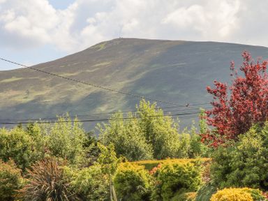 A view of a mountain with a cloudy sky behind diverse green and red trees and bushes at Fern View House in Beaufort near Killorglin County Kerry