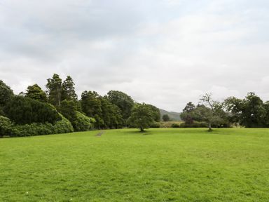 A grassy field with scattered trees and a line of trees in the background at William Court Cottage in Irton Hall near Wastwater