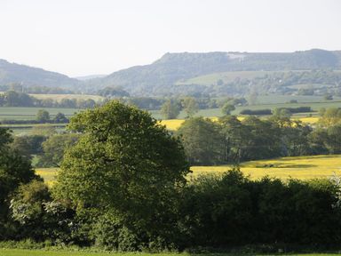 A countryside landscape with trees fields and hills in the background at Wheelhouse Cottage in Sowerby outskirts of Thirsk