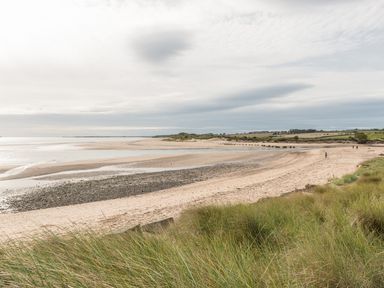 A sandy beach with dunes and grassy foreground with a few people walking at Jackson Cottage in Alnmouth