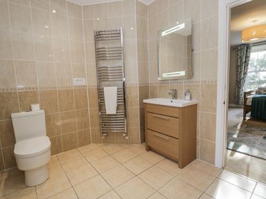 A bathroom with a sink, toilet and towel rail at Tyddyn Goronwy in Talybont
