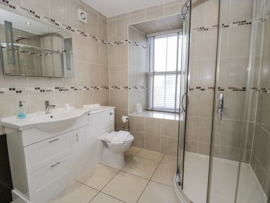 A bathroom with a sink, toilet, and shower at Tyddyn Goronwy in Talybont