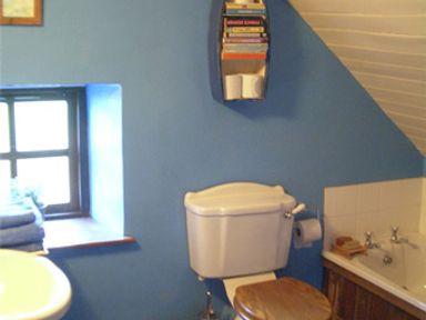 A bathroom with a toilet a bathtub a small window and a shelf with books at Clooncorraun Cottage Ballinrobe County Mayo