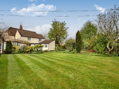 A backyard garden with lawn trees and shrubs at Ingleside in Adsett Royal Forest of Dean