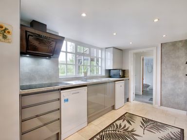 A kitchen with grey cabinets a dishwasher a microwave and a rug near a door at Ingleside in Adsett Royal Forest of Dean
