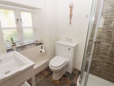 A bathroom with a toilet sink window and a glass shower enclosure at The Coach House in Wolfscastle