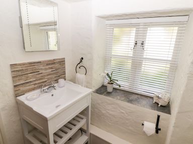 A bathroom sink with a mirror above and a window with blinds and a flower pot on the sill at The Coach House in Wolfscastle