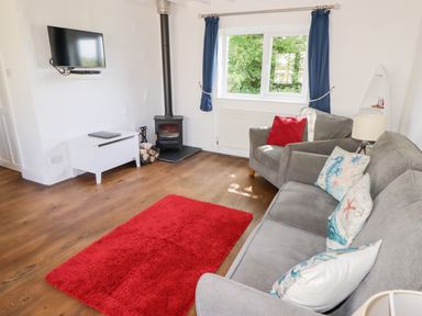 A living room with grey sofas red rug wall mounted tv and a wood burning stove at The Duck House in Wolfscastle