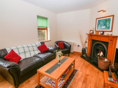 A living room with a leather sofa and armchair a wooden coffee table a fireplace and a window with a green blind at Mary Agnes Cottage in Cahirkeen near Allihies County Cork