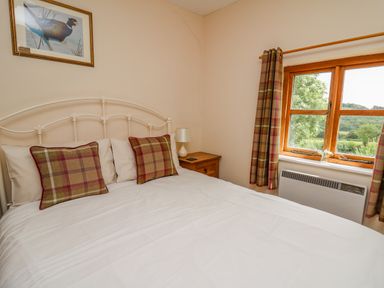A bedroom with a white metal bed frame two plaid pillows a wooden nightstand with a lamp and a window with plaid curtains at Byrdir Cottage in Rhayader
