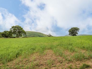 A green open field with scattered trees and hills in the background under a partly cloudy sky at Byrdir Cottage in Rhayader