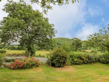 A garden with trees and flower bushes with a hill in the background at Byrdir Cottage in Rhayader