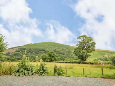 A grassy field with plants and a tree in front of a green hill under a partly cloudy sky at Byrdir Cottage in Rhayader